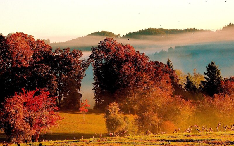 Autumn morning in the valley