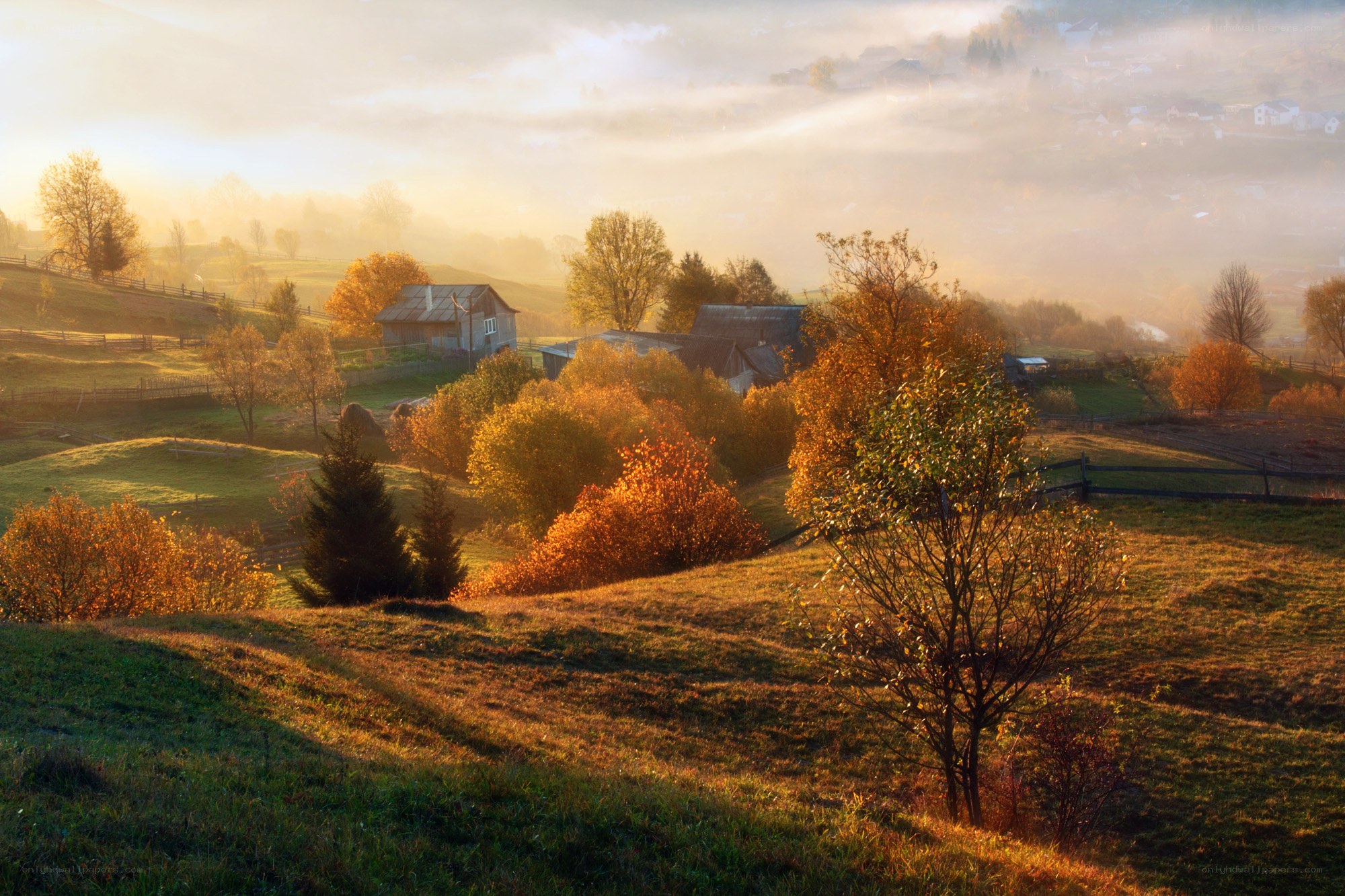 Autumn morning in the village
