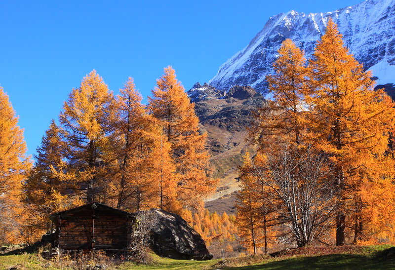 Autumn mountain cabin