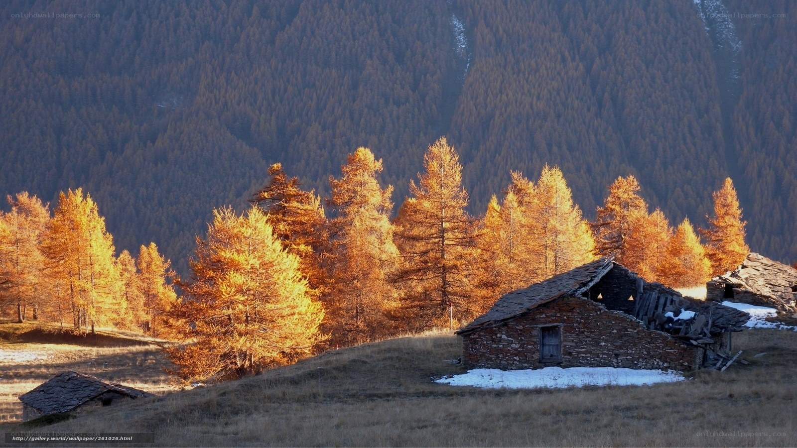 Autumn mountain cabin