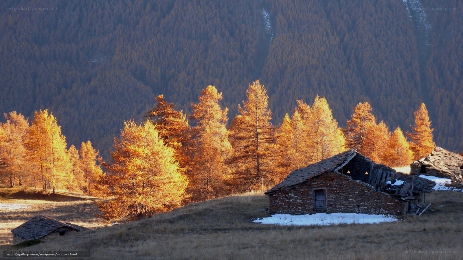 Autumn mountain hut