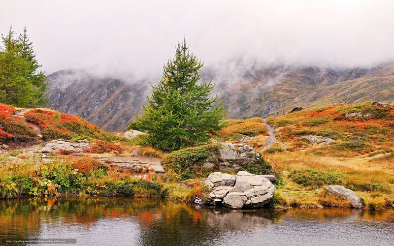 Autumn mountain lake with fog