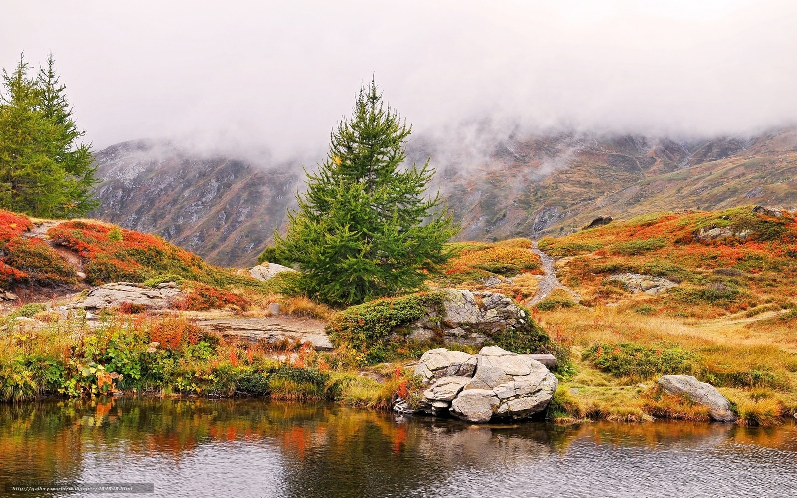 Autumn mountain lake with fog