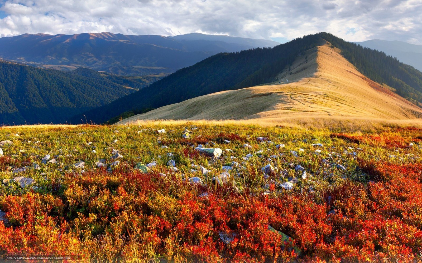 Autumn mountain landscape