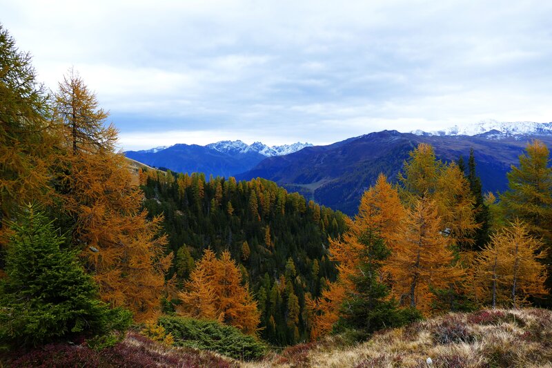 Autumn mountain landscape