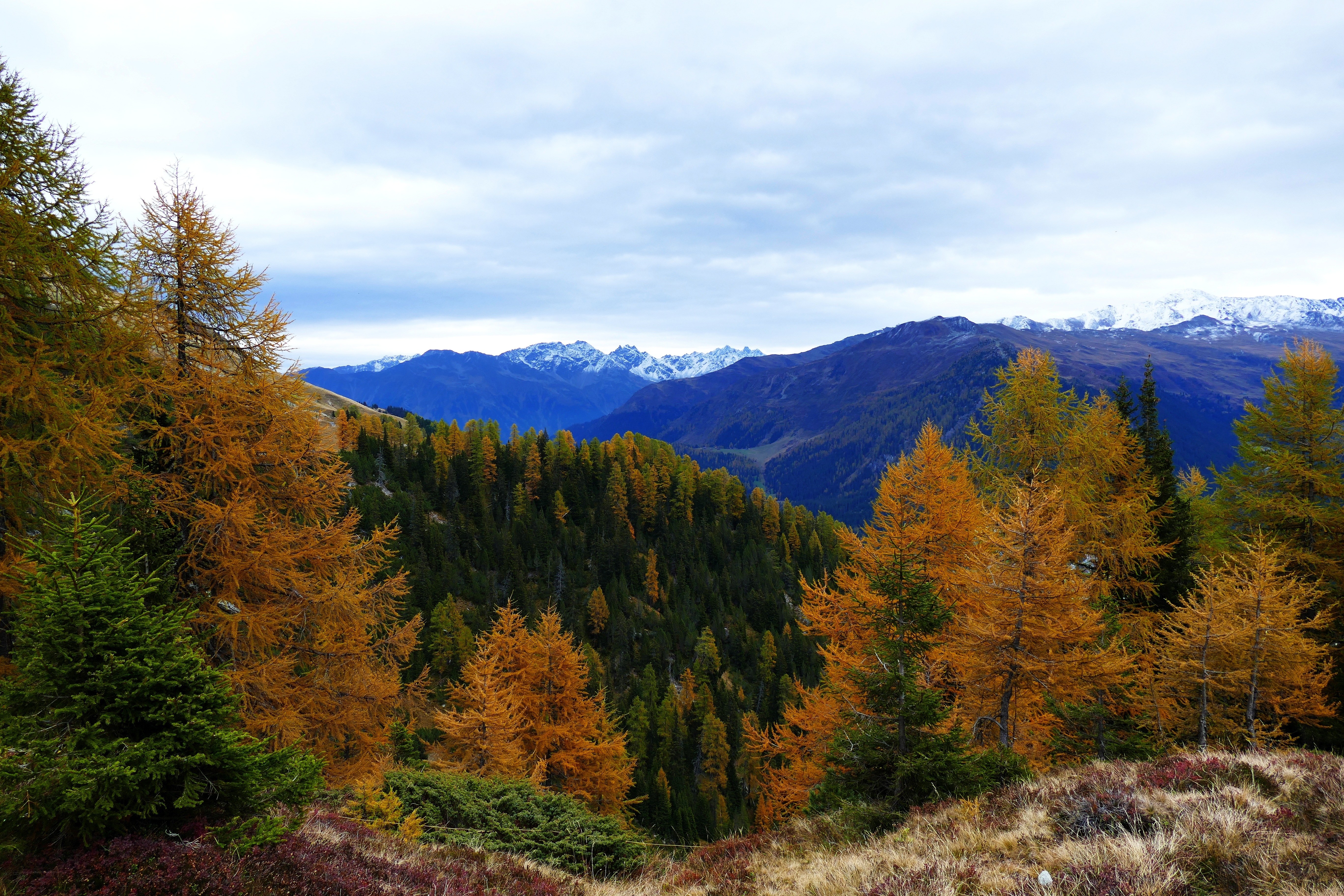 Autumn mountain landscape