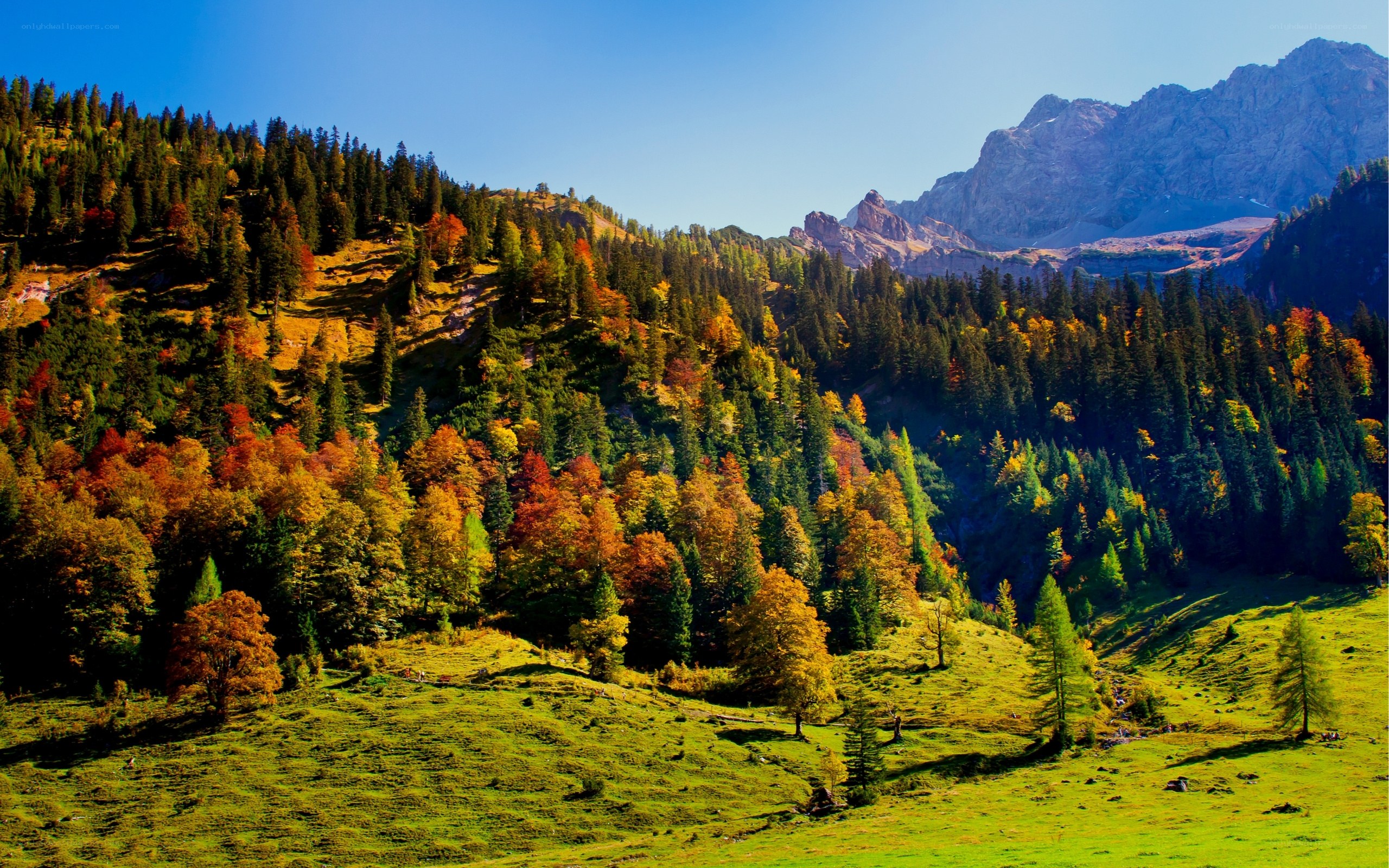 Autumn mountain landscape