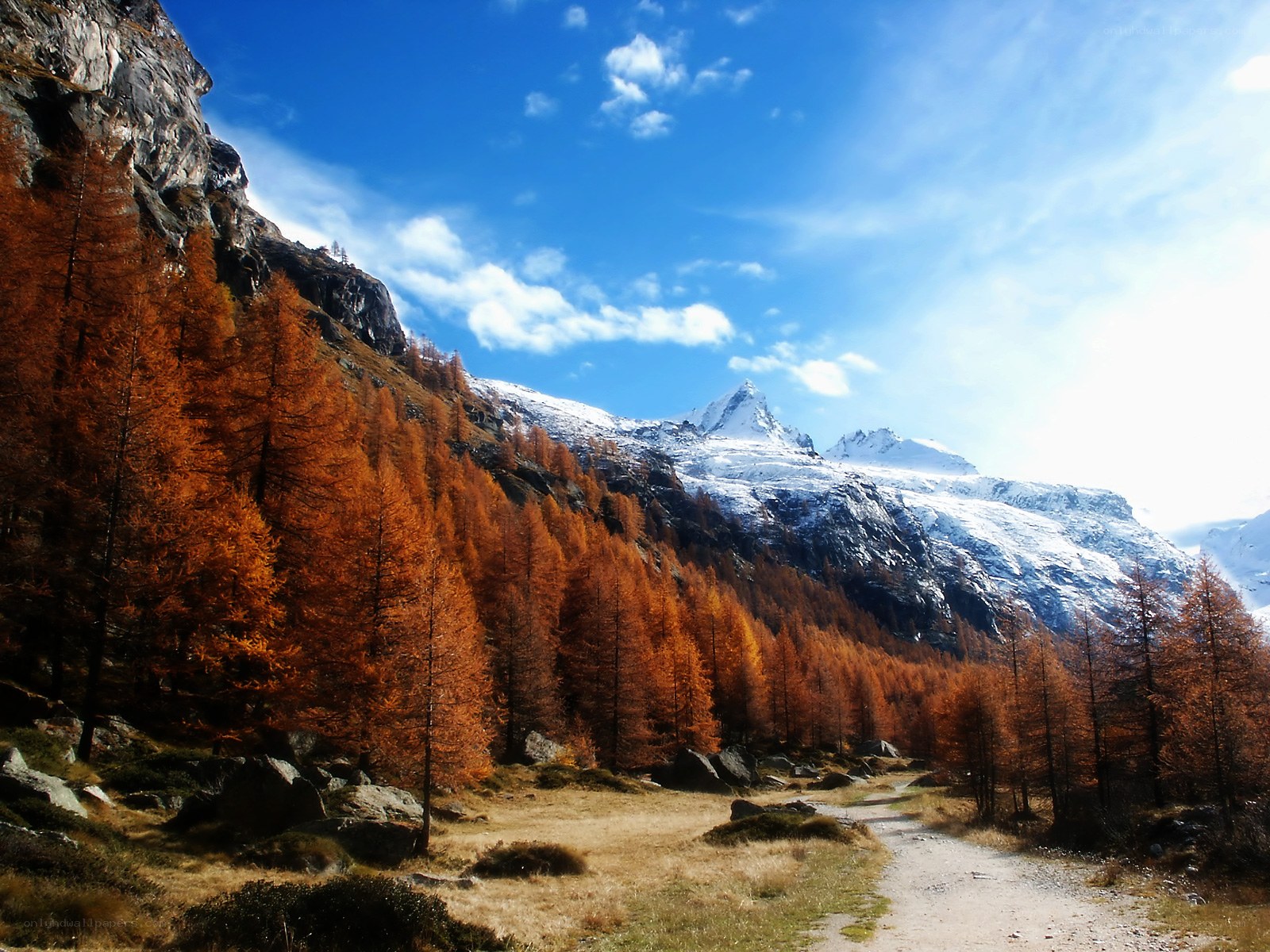 Autumn mountain landscape