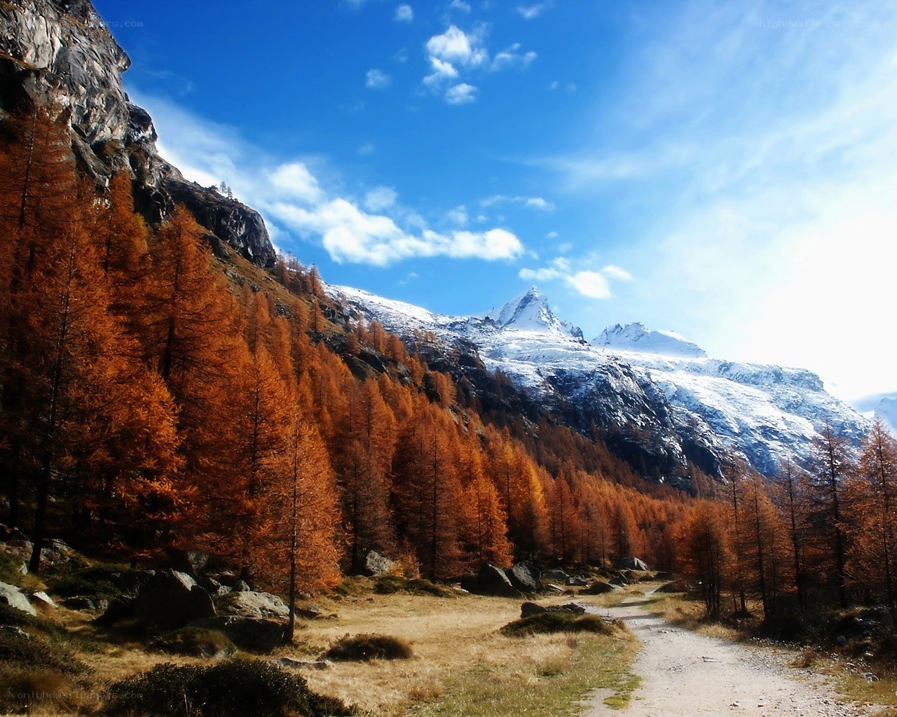 Autumn mountain landscape