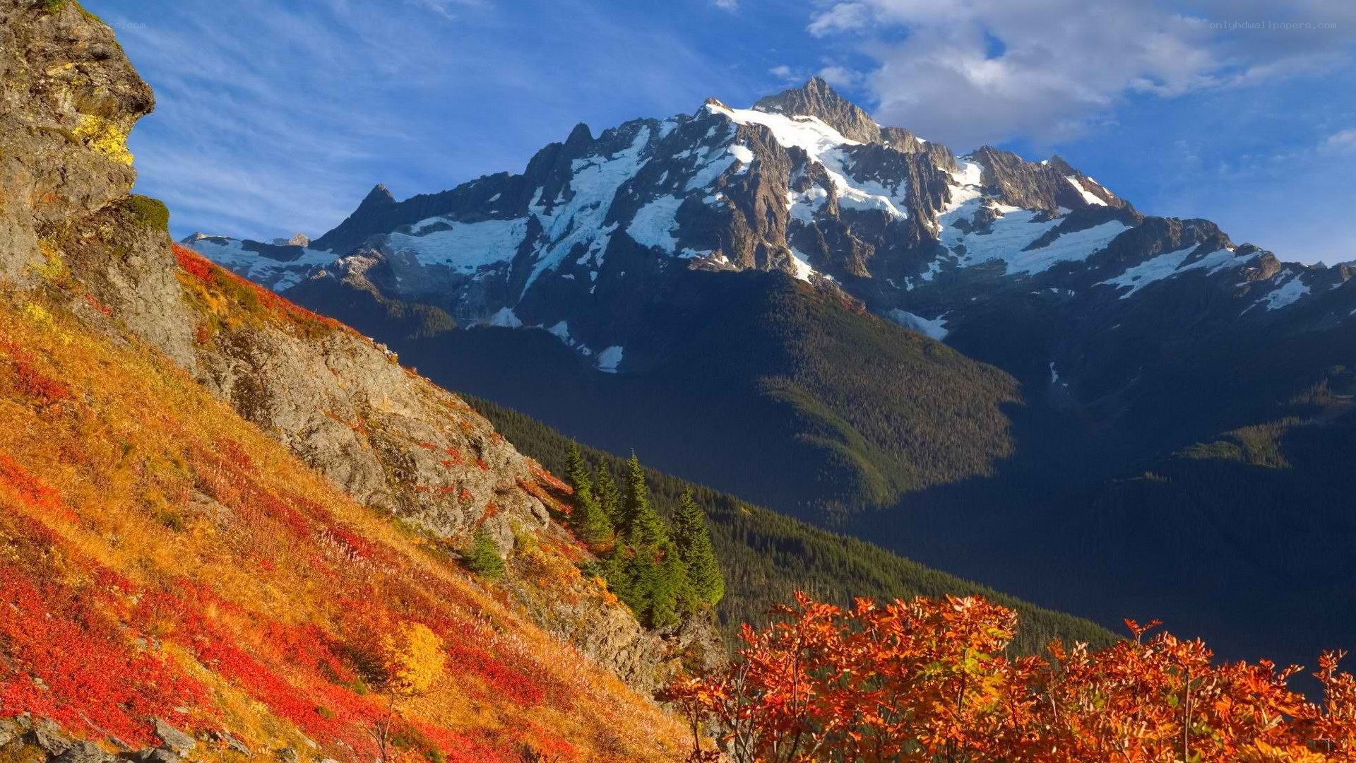 Autumn mountain landscape