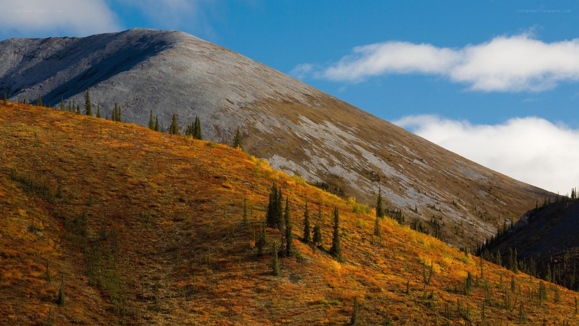 Autumn mountain landscape