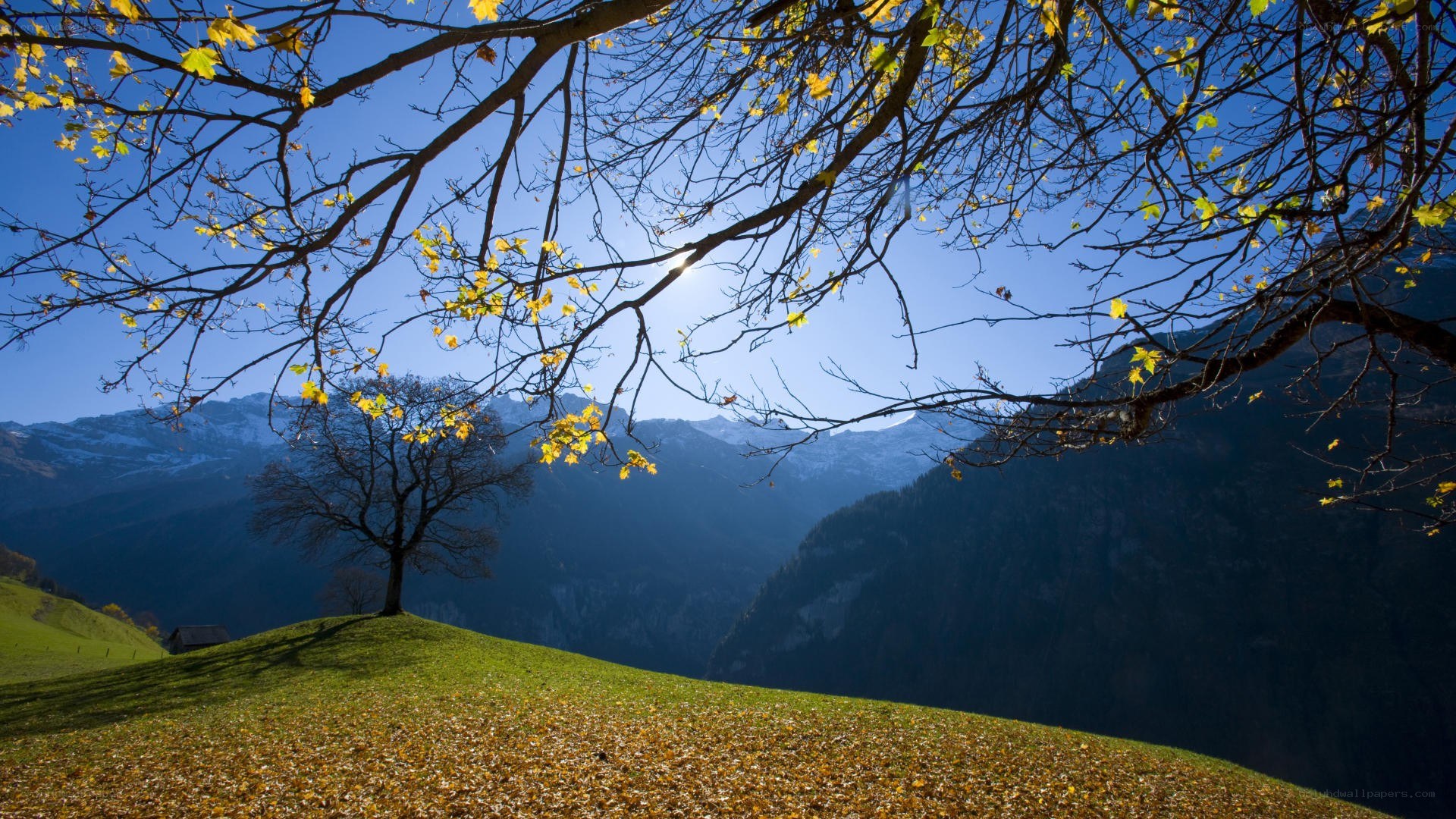 Autumn mountain landscape