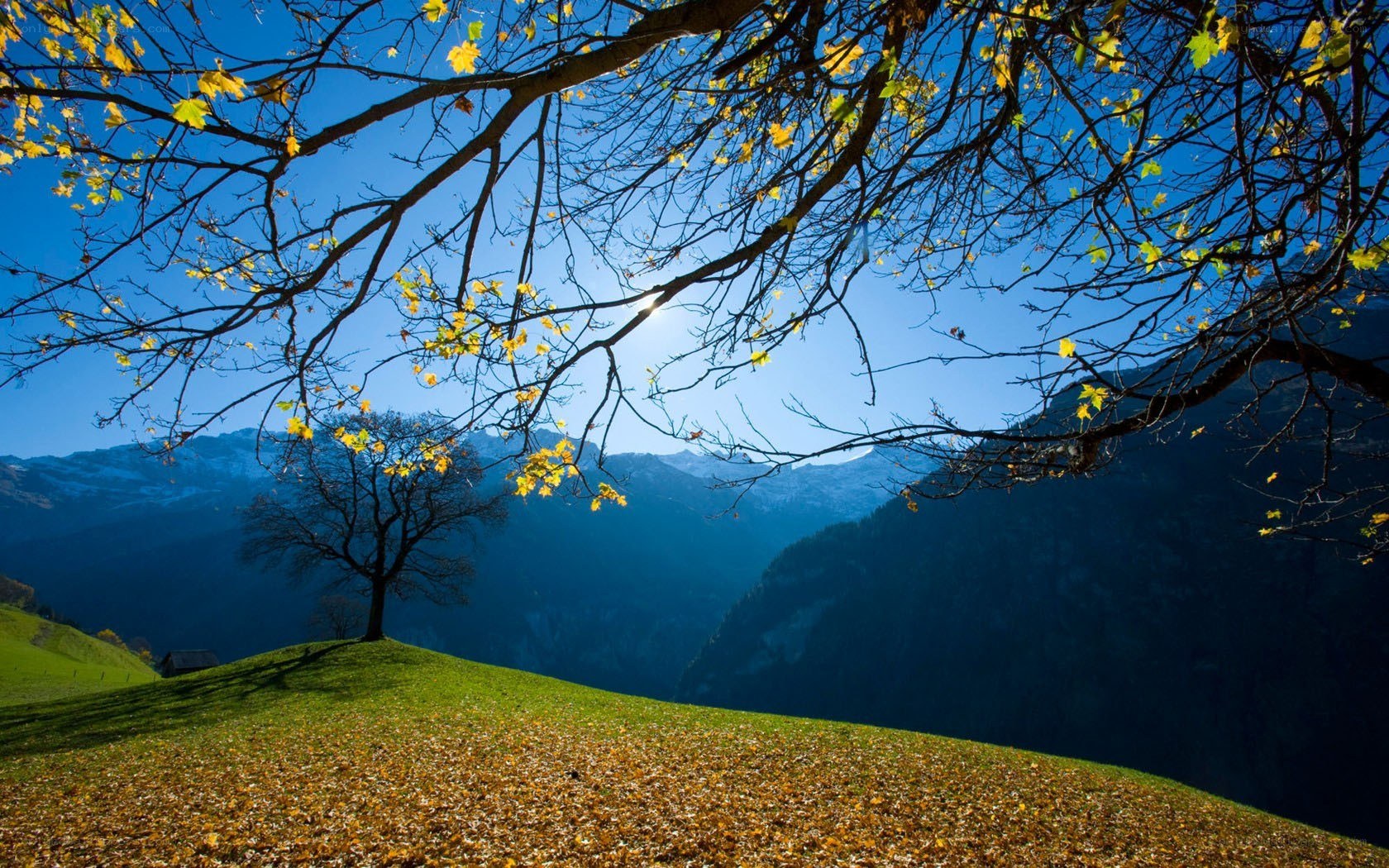 Autumn mountain landscape