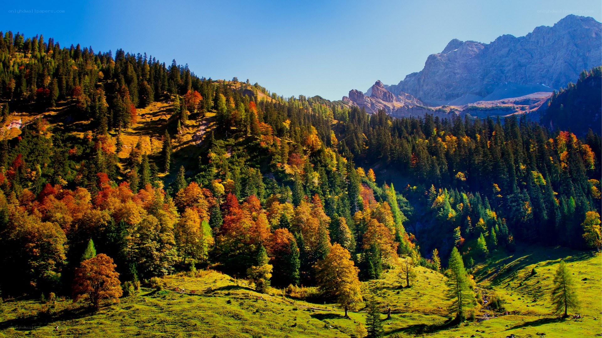 Autumn mountain landscape
