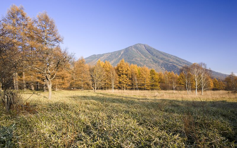 Autumn mountain landscape