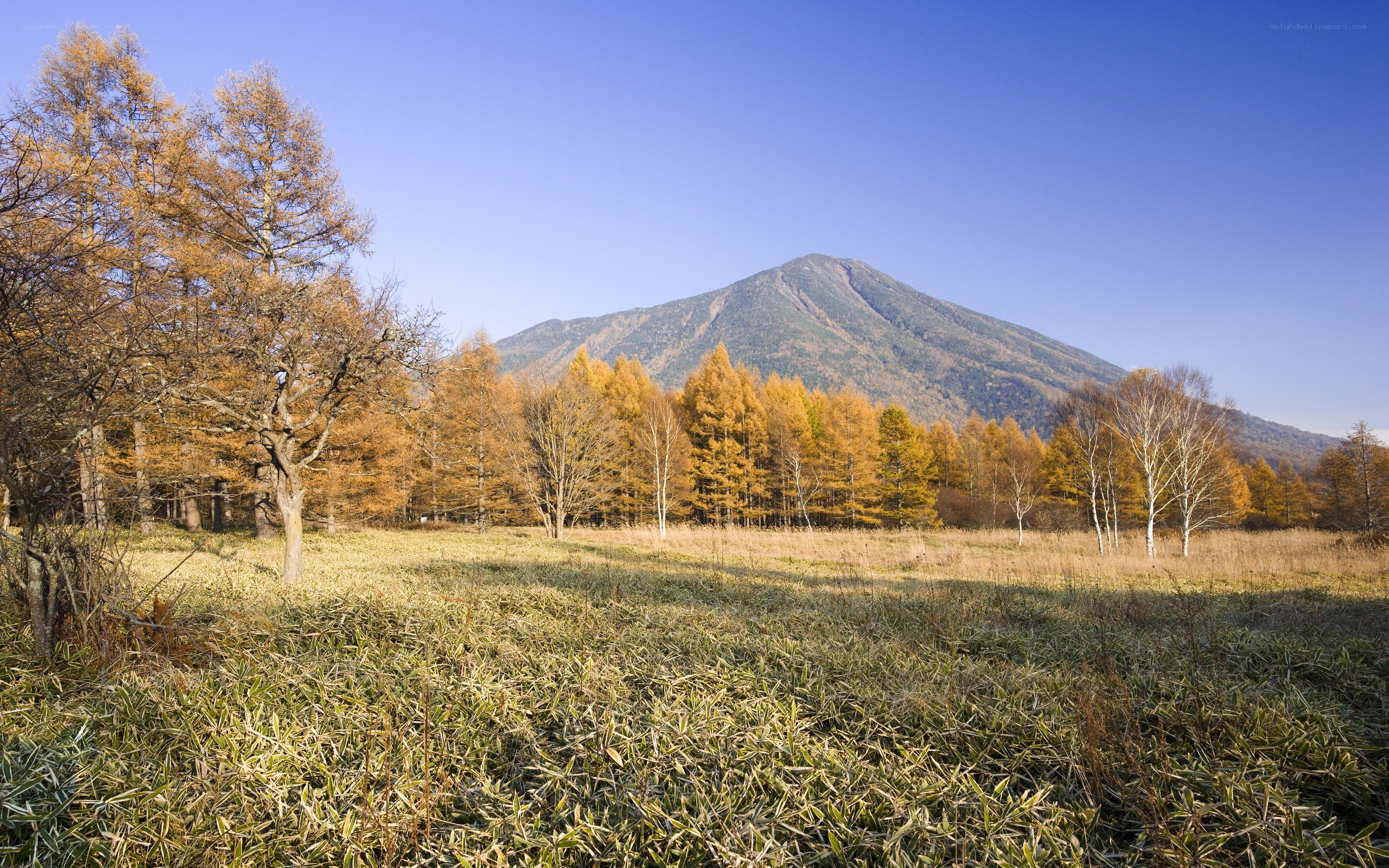 Autumn mountain landscape