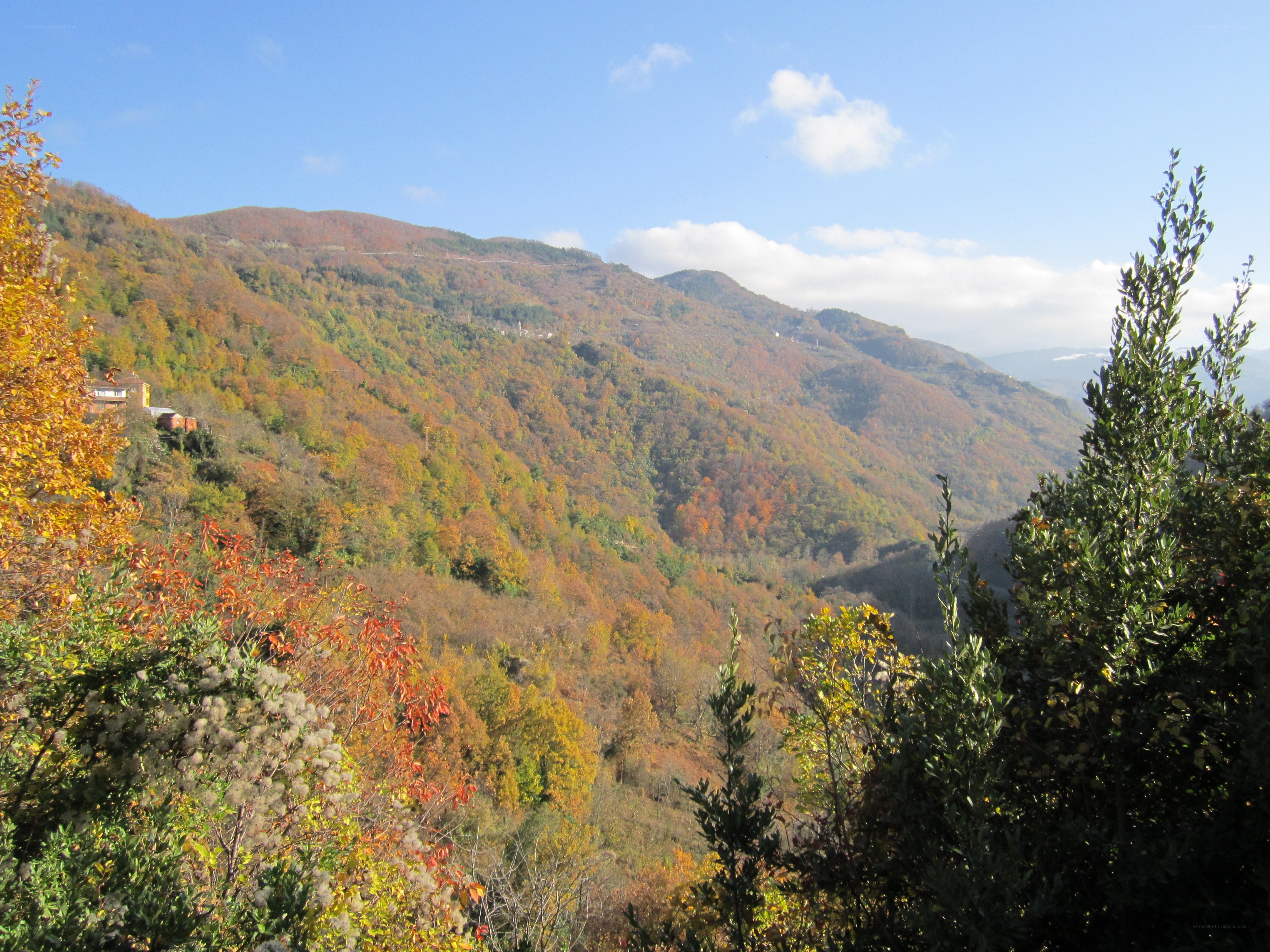 Autumn mountain landscape