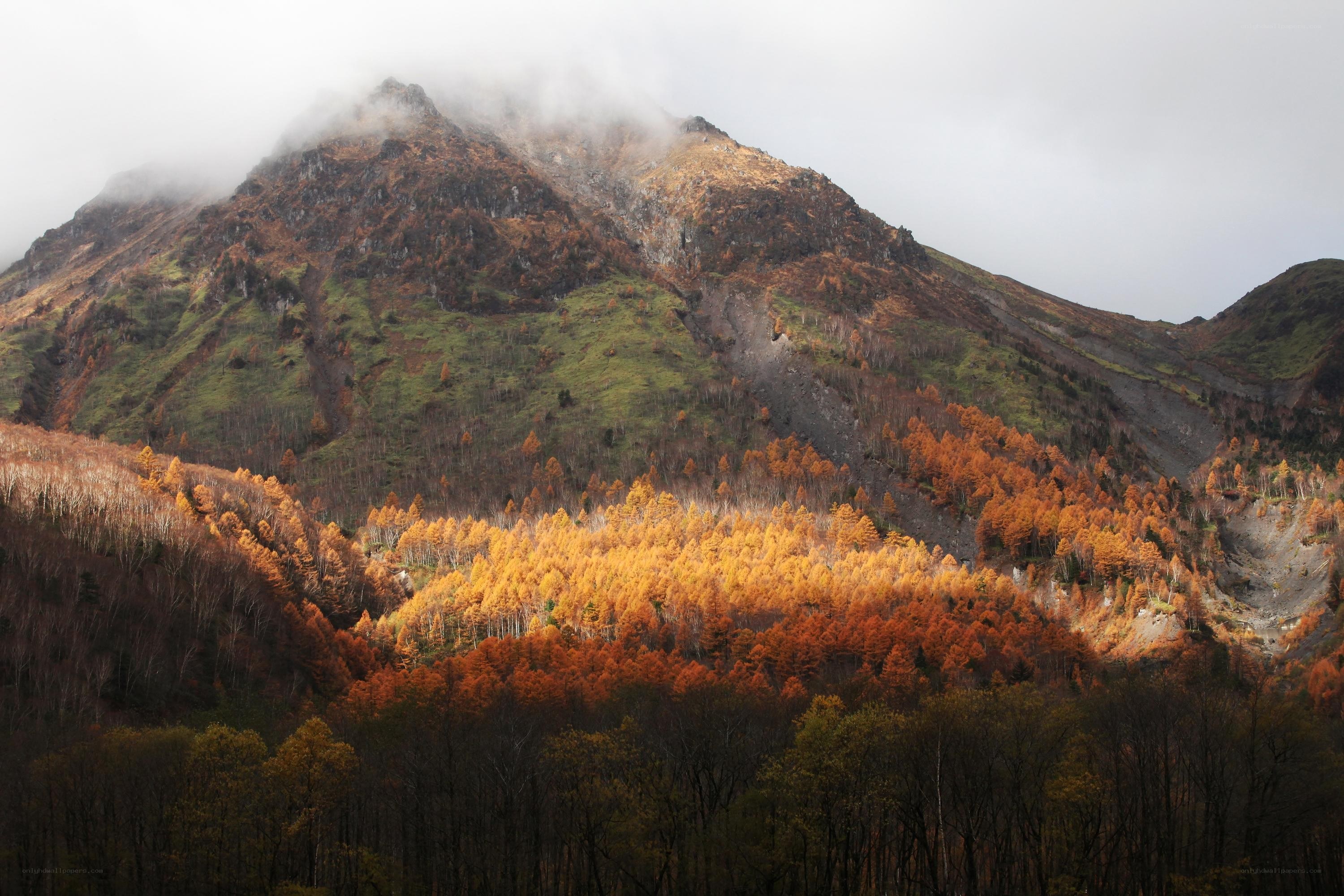 Autumn mountain landscape