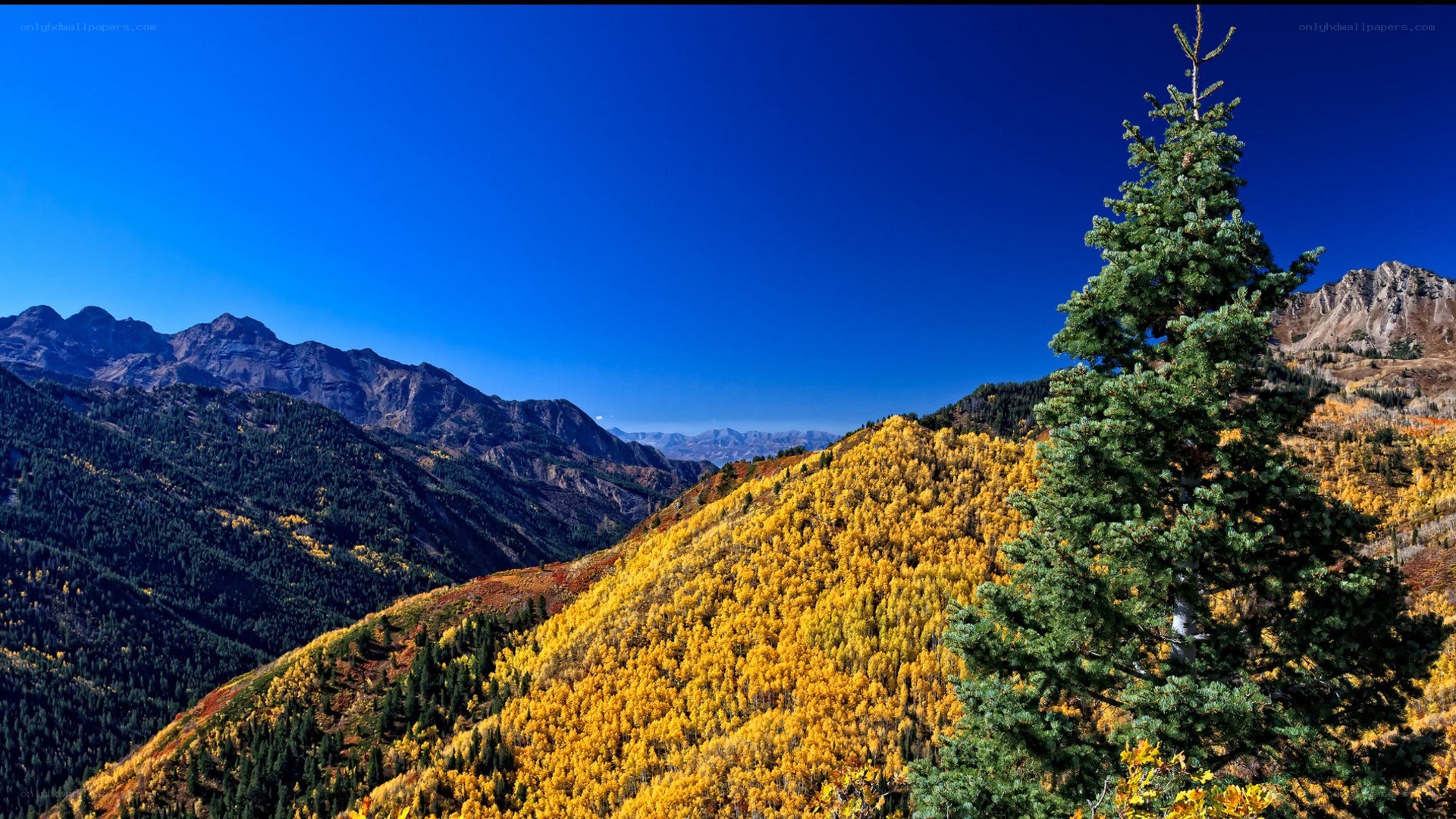 Autumn mountain landscape