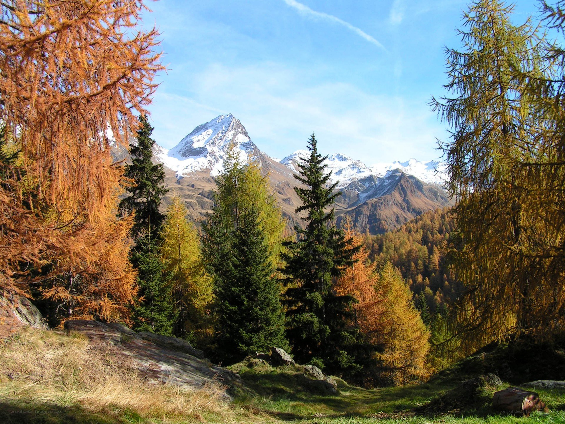 Autumn mountain landscape