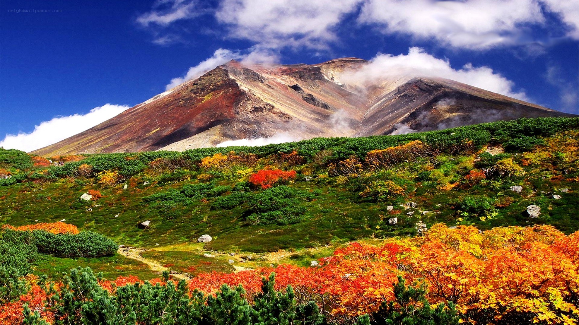 Autumn mountain landscape