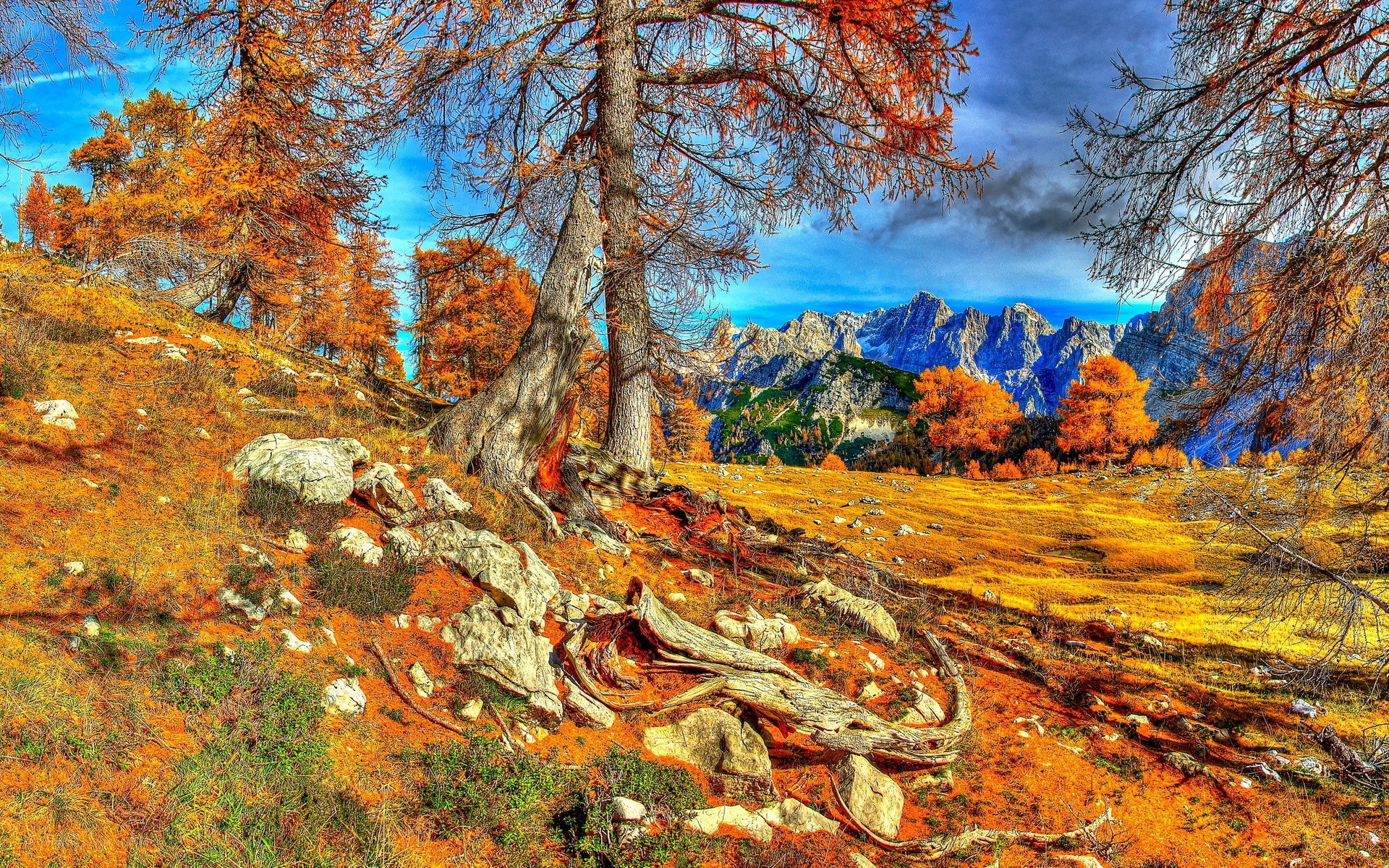 Autumn mountain landscape