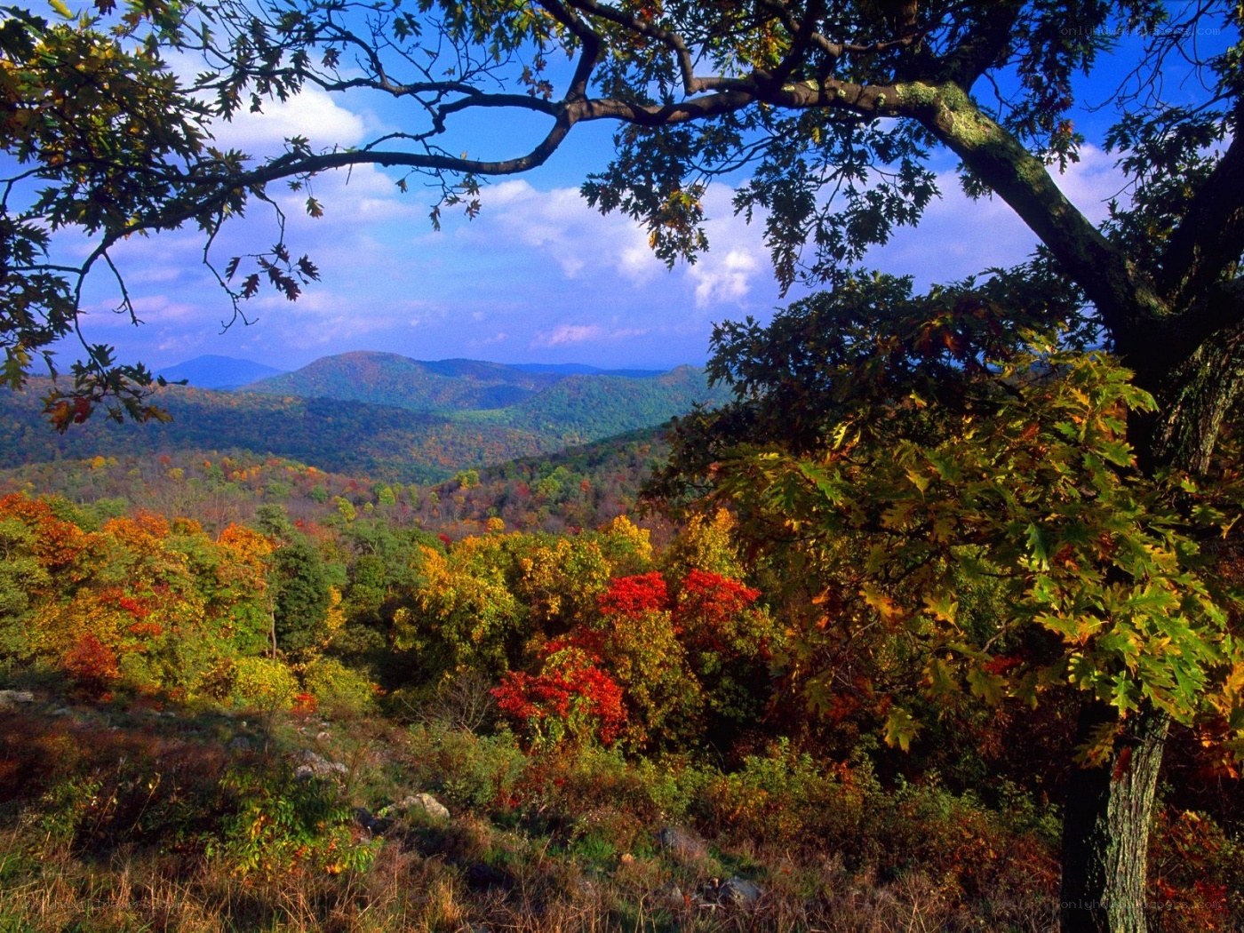 Autumn mountain landscape