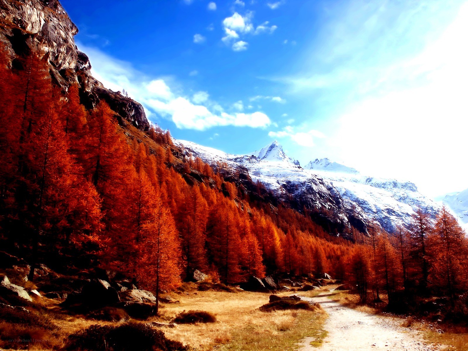 Autumn mountain landscape