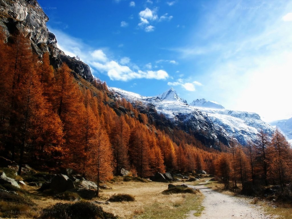 Autumn mountain landscape