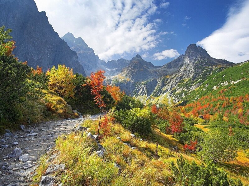 Autumn mountain landscape