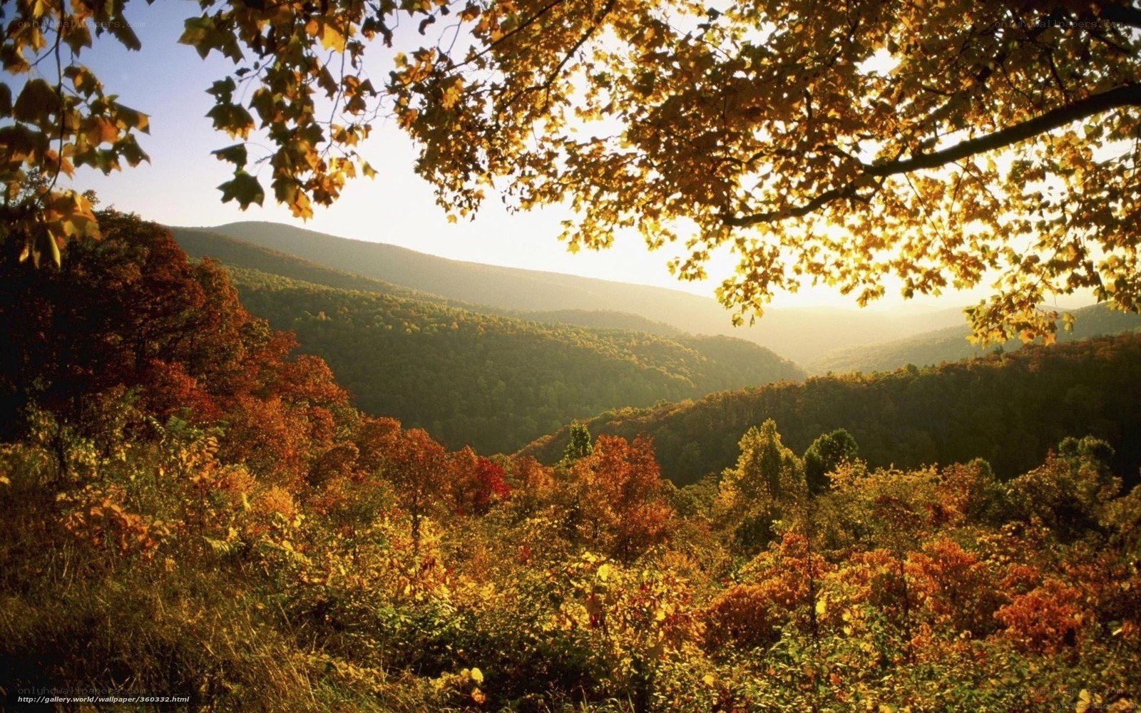 Autumn mountain landscape