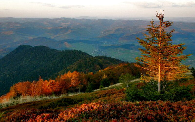 Autumn Mountain Landscape — Orange