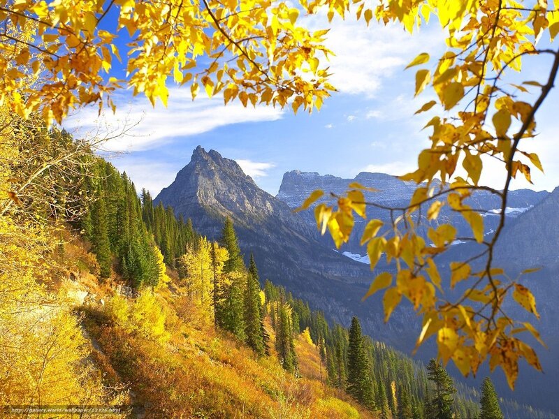 Autumn mountain landscape