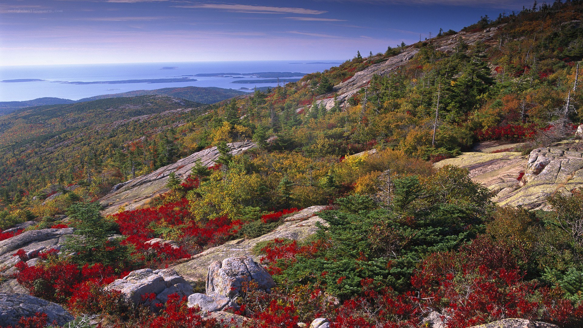 Autumn mountain landscape with ocean view