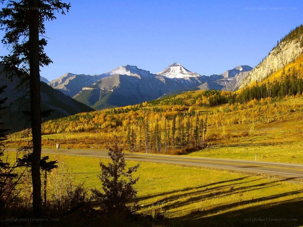 Autumn mountain landscape with road
