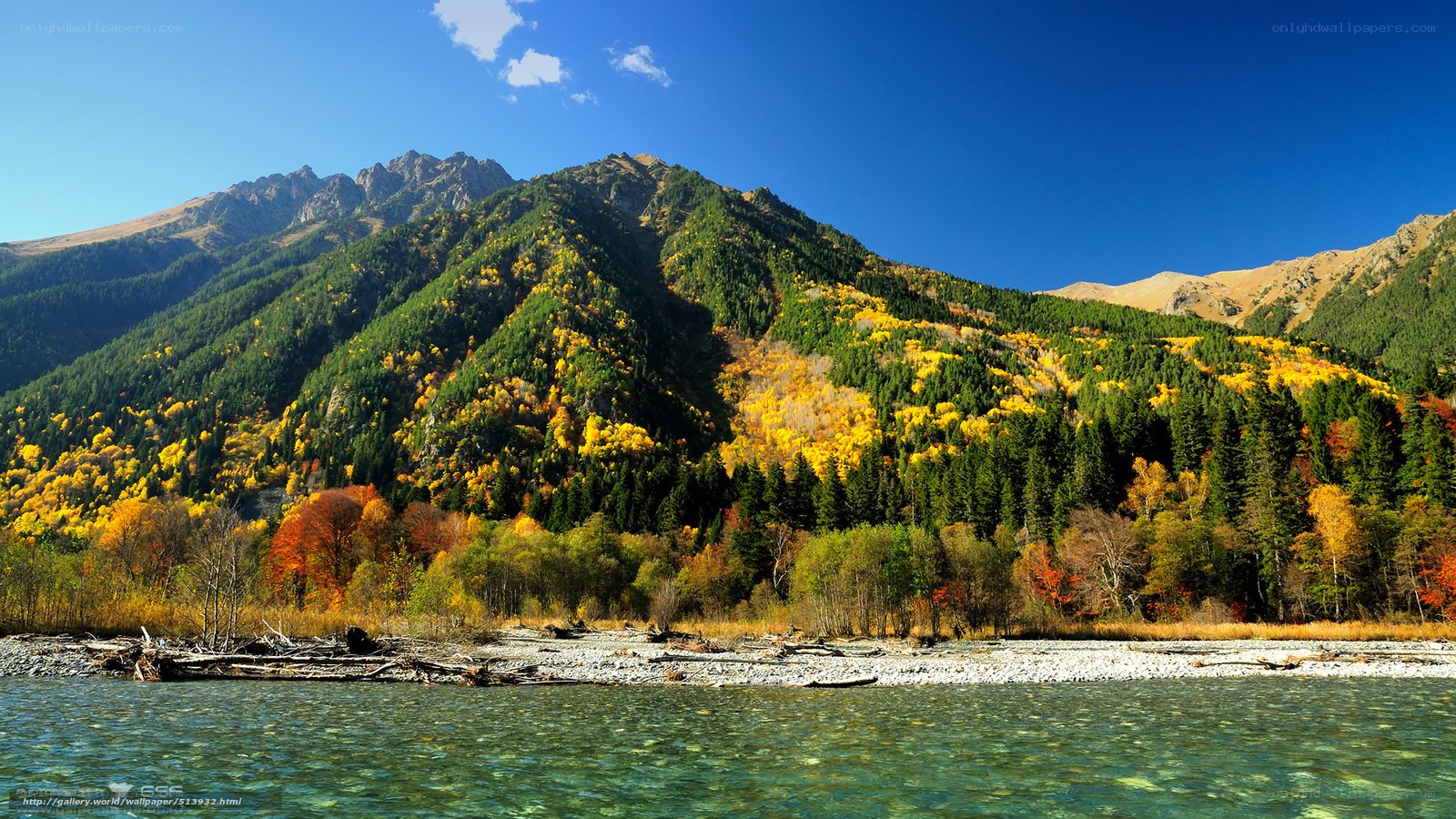 Autumn mountain river landscape