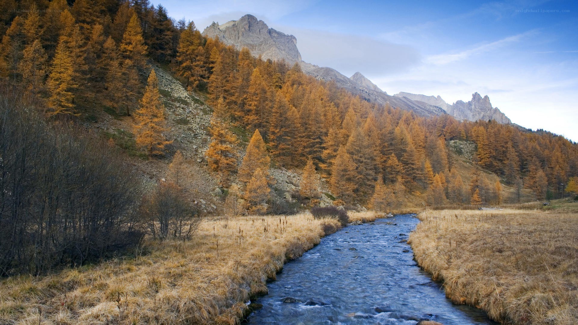 Autumn mountain stream