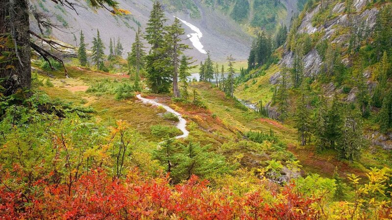 Autumn Mountain Trail — Green, Serene