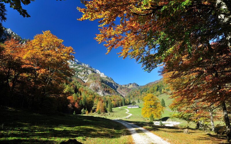 Autumn mountain valley