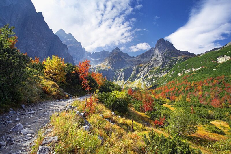 Autumn mountain valley