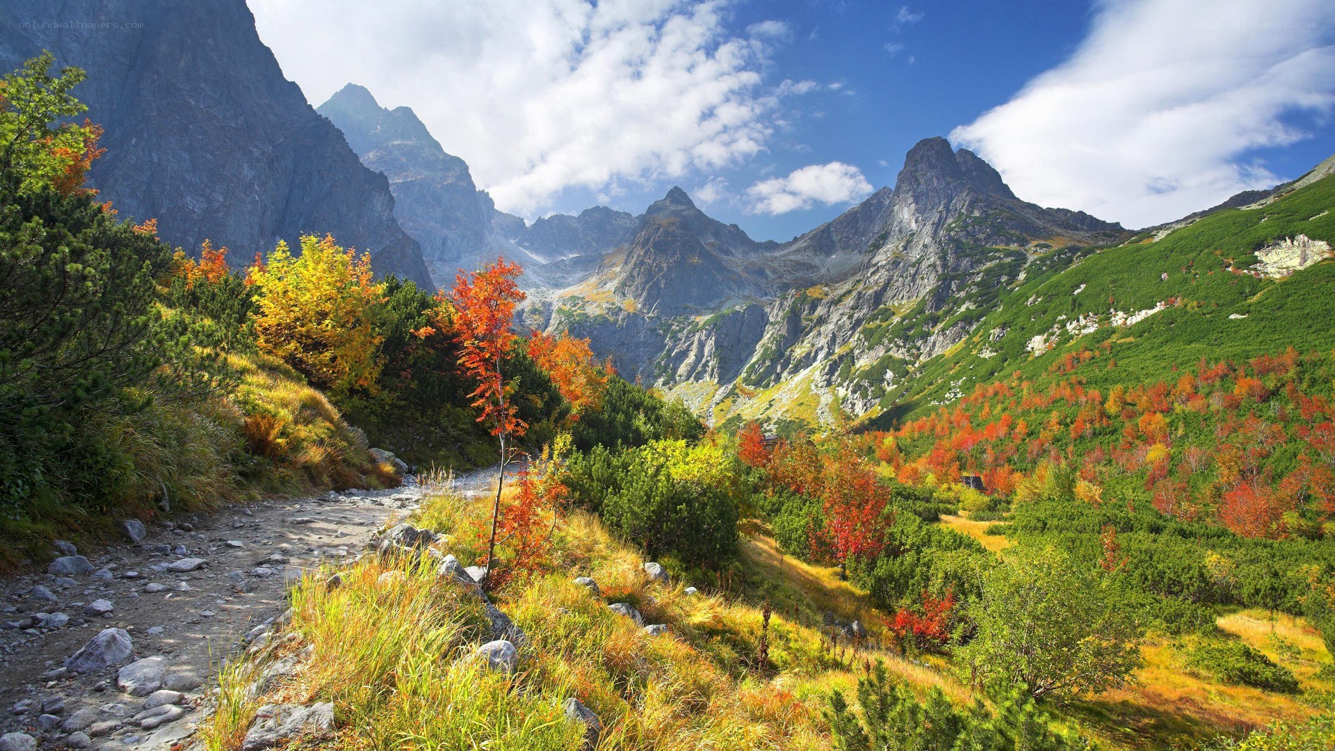 Autumn mountain valley