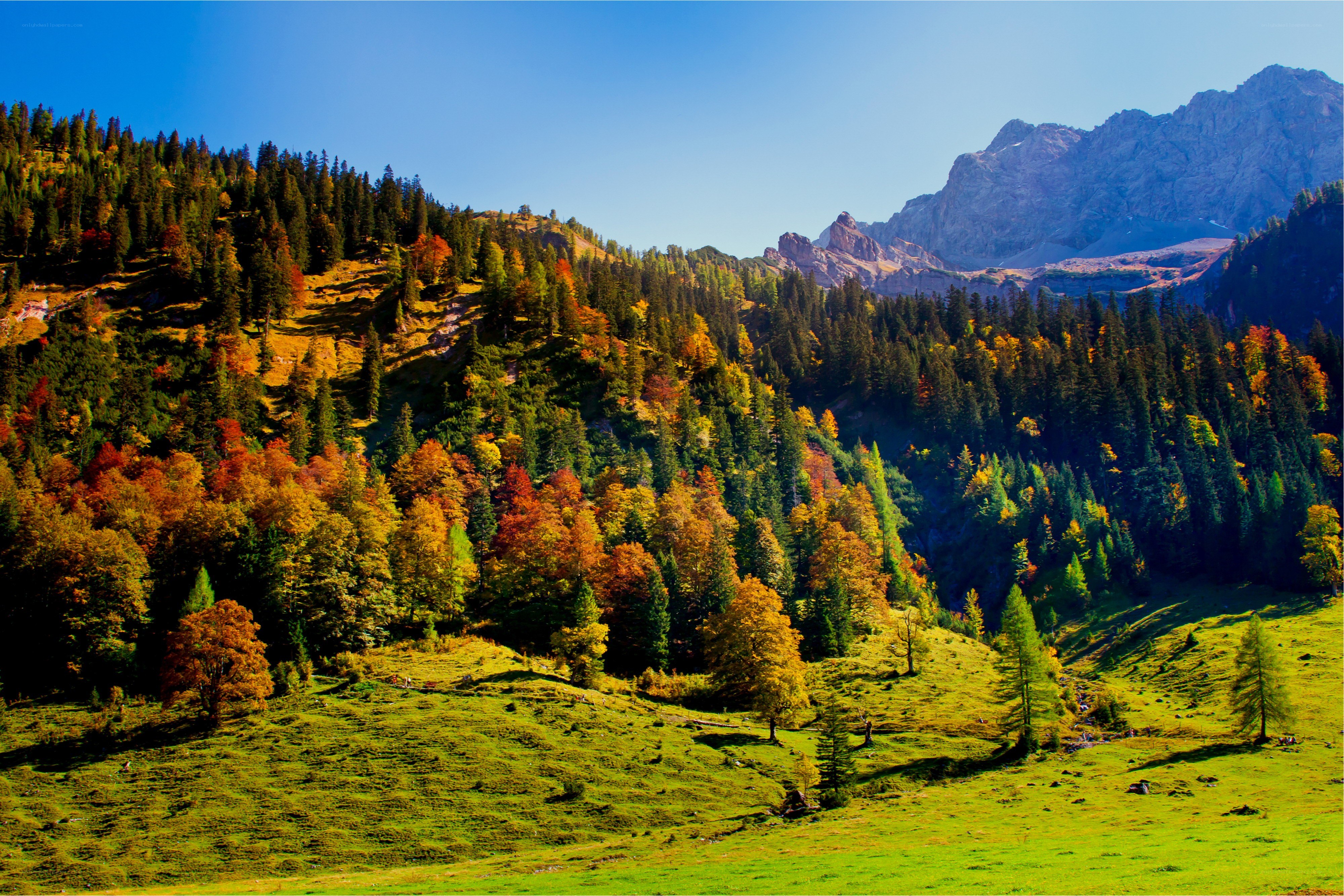 Autumn mountain valley