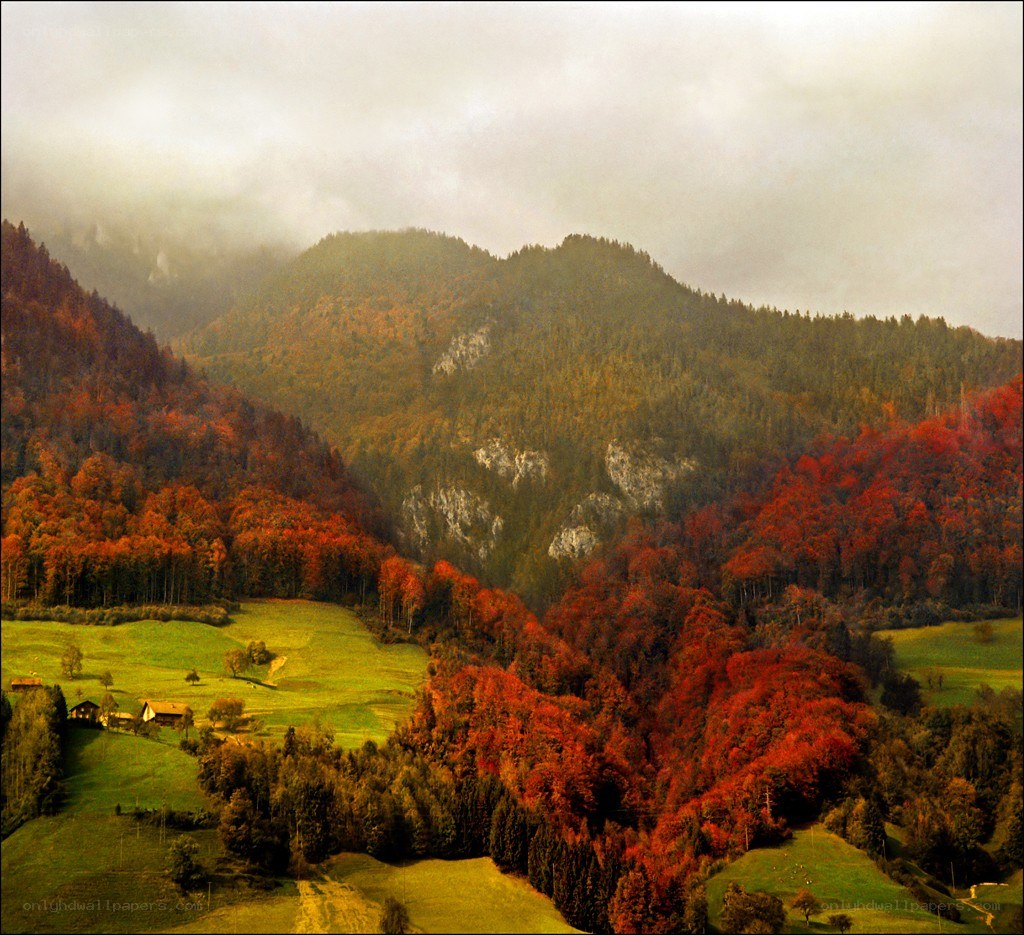 Autumn mountain valley