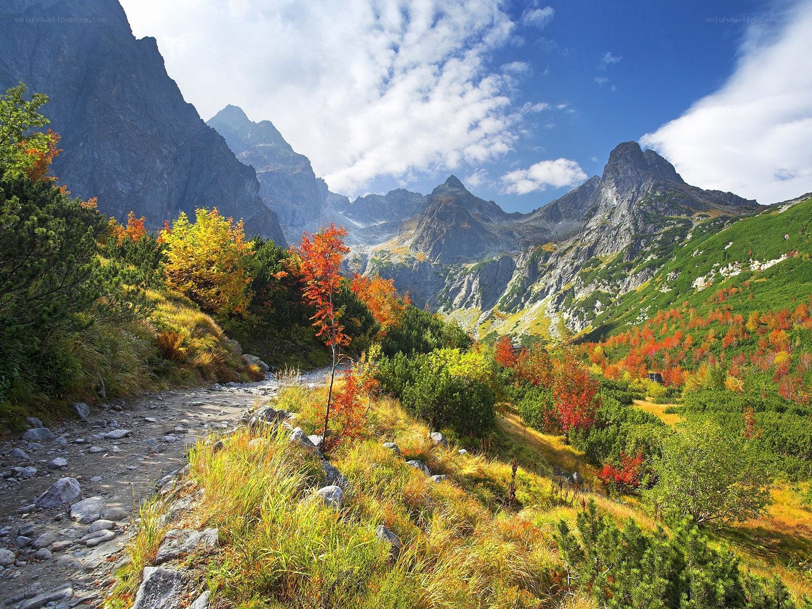 Autumn mountain valley