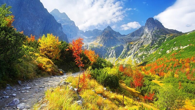 Autumn Mountain Valley — Blue, Serene, Photograph