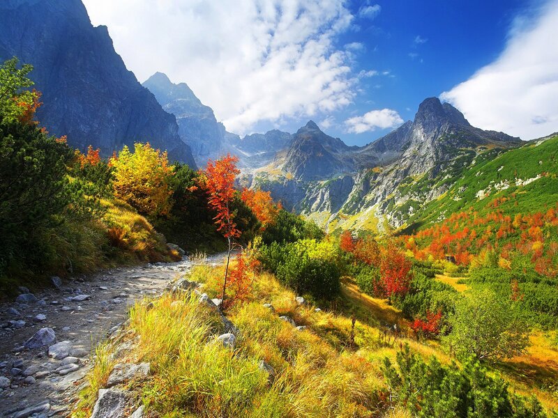 Autumn Mountain Valley — Blue, Serene
