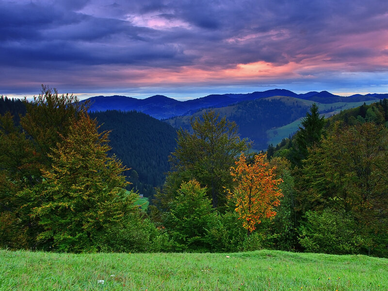 Autumn Mountain Valley — Green, Dramatic