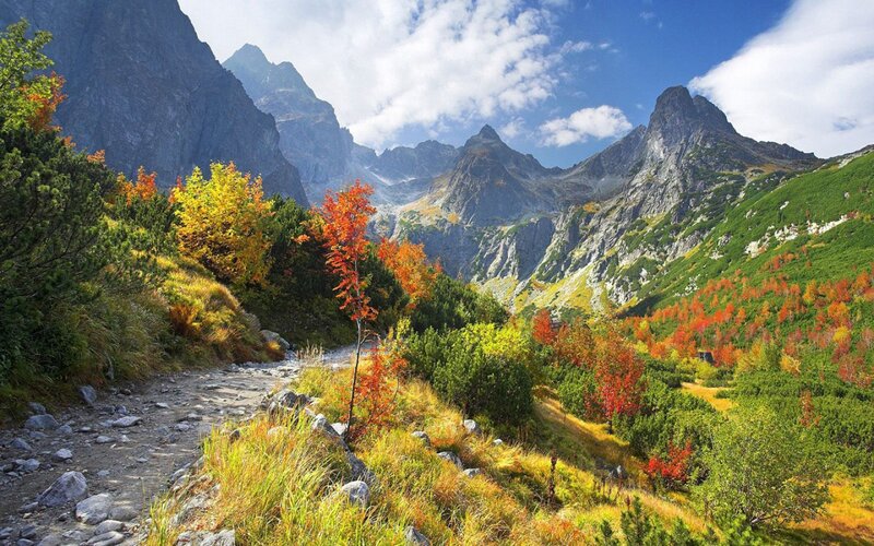 Autumn Mountain Valley — Green, Serene, Photograph