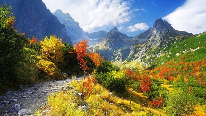 Autumn Mountain Valley — Green, Serene, Photograph, Trees