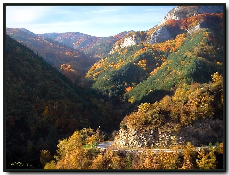 Autumn Mountain Valley — Green